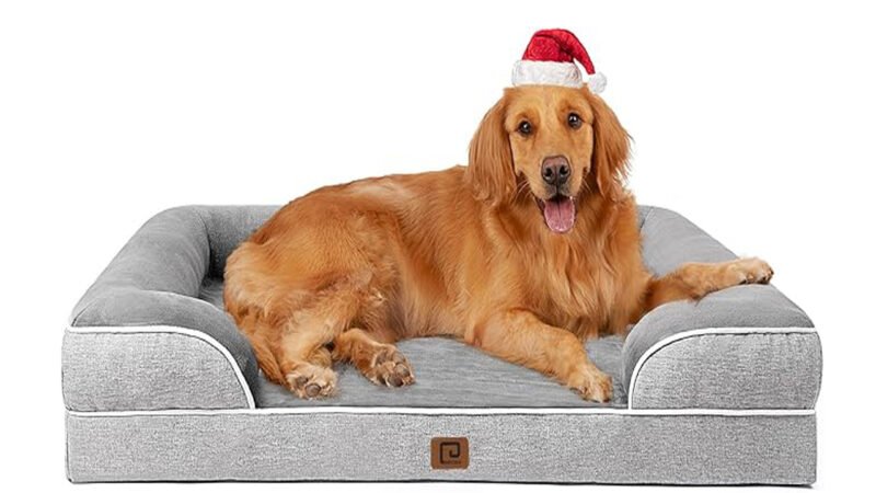 Large Orthopaedic Waterproof Memory Foam Dog Bed with Sides, Non-Slip Bottom with Washable Removable Grey Cover